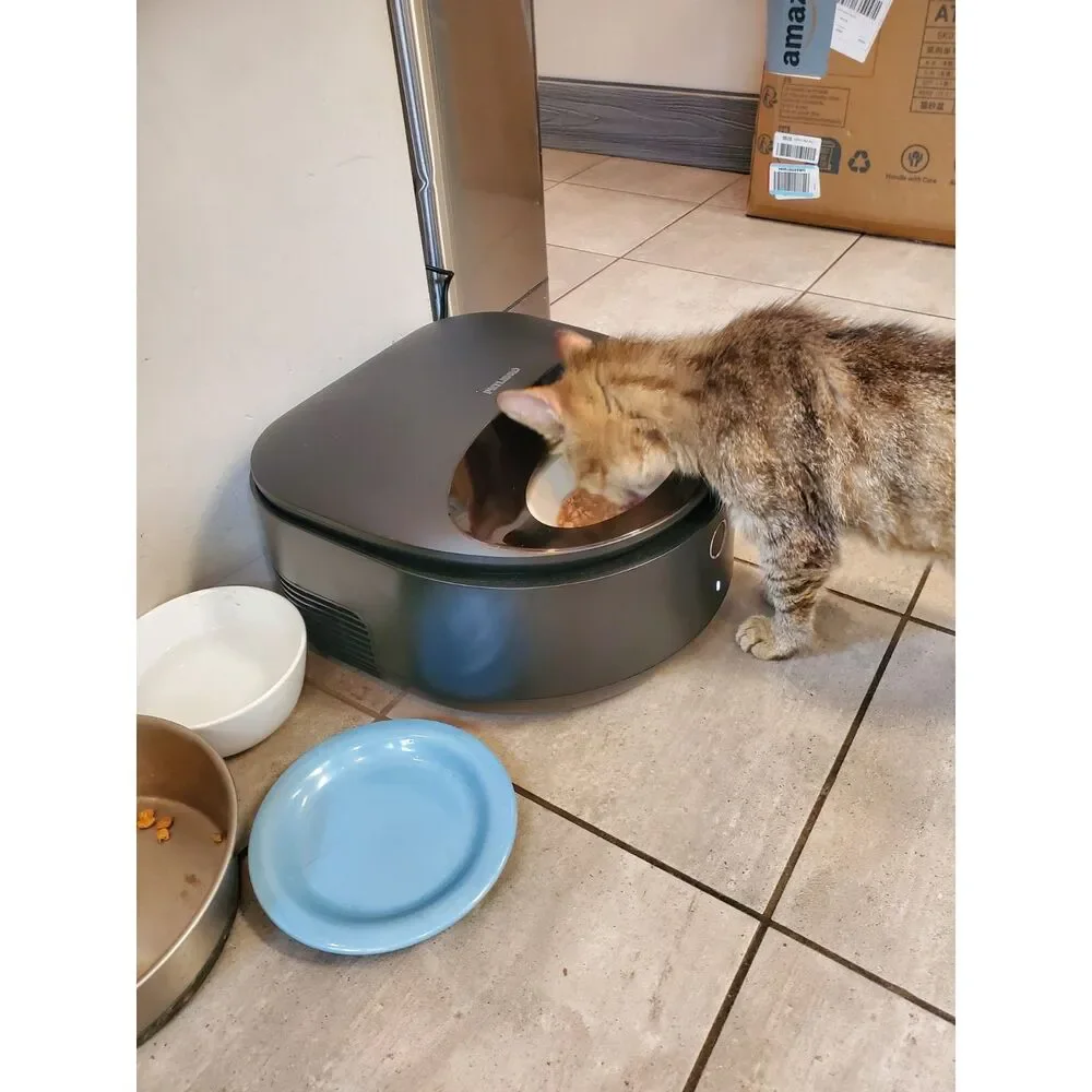 PETLIBRO POLAR PLASTIC BOWL BLACK CAT PET AUTOMATIC FEEDER REFRIGERATED MEAL